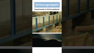 Strömungsrippeln Entstehung Bedeutung [upl. by Ayian416]