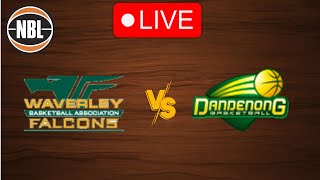 🔴 Live Waverley Falcons vs Dandenong Rangers  Live Play by Play Scoreboard [upl. by Ahsaela]