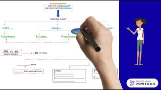 Steroid Hormones Exercise Physiology [upl. by Animar]