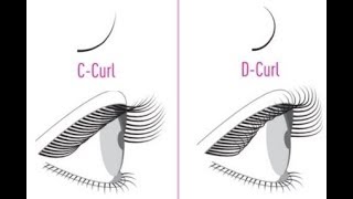 Which Lash Curl Is Best For You C vs D Curls  Flash Your Style [upl. by Eliza865]