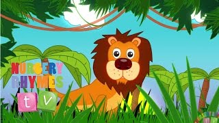 ANIMALS IN THE JUNGLE  New Nursery Rhymes  English Songs For Kids  Nursery Rhymes TV [upl. by Petracca]