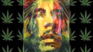 Bob Marley  Buffalo Soldier remix [upl. by Atalanta]