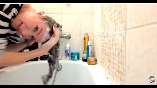 Playing with Perfect Shampoo Foam ASMR [upl. by Leda269]