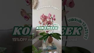 A kokeweek está no ar De 13 a 21 de novembro kokedamas kokedama plantas [upl. by Nnairek334]