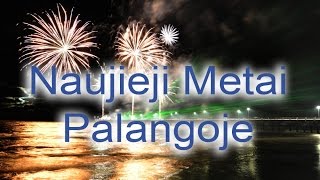 Naujieji Metai Palangoje [upl. by Znerol158]