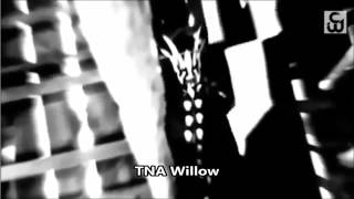 TNA Willow Custom Titantron Theme Song 2014 [upl. by Meehaf]