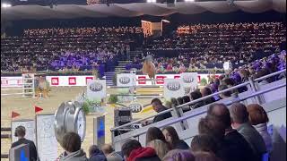 Ermitage kalone 5th place  sires of the world Mechelen [upl. by Leopold]