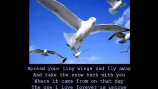 Anne Murray  Snowbird with lyrics [upl. by Jaf]