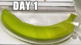 Banana After 180 Days In Epoxy Resin  What Happened [upl. by Llednor]