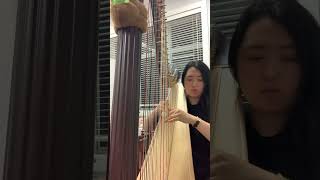 BachGrandjany Etude no1 ABRSM pedal harp grade 8 harp music harps classicalmusic [upl. by Namrak]