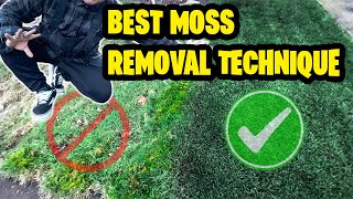 HOW TO REMOVE MOSS FROM YOUR LAWN Treated vs Untreated Results 2 Step process [upl. by Connel]