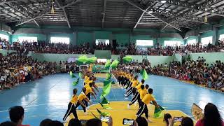 MCS Flag Demo 1st Place [upl. by Aleek]