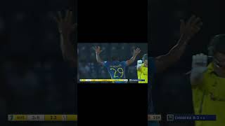 Unbelievable Come Back From Sri Lanka🥵🥶 cricket wickets cricketshorts coverdrives [upl. by Enailil]