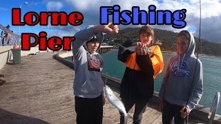 Lorne pier fishing [upl. by Marjy]