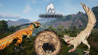 The Perfect Nesting Spot  The Great Hypsi Colony Part 2  Hypsilophodon Gameplay  The Isle Evrima [upl. by Kiley]