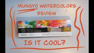 Mungyo watercolor set review [upl. by Orenid292]