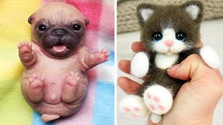 Cute Baby Animals Videos Compilation  Funny and Cute Moment of the Animals 17  Cutest Animals [upl. by Clarise580]