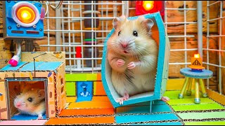 Hamster Faces the Death Wheel to Escape from the Horrifying Maze 🐹 Hamster Escapes in Real Life [upl. by Azrim972]