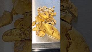 Diver Finds Biggest Gold Nugget In Bedrock Crack [upl. by Demeyer]