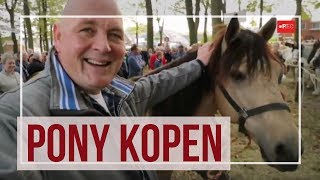 Pony kopen op de Zuidlaardermarkt  handjeklap paardenmarkt  RTV Noord [upl. by Aryaz424]