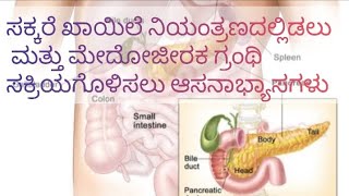 asanas to control diabetes and for activation of pancreas [upl. by Osber]