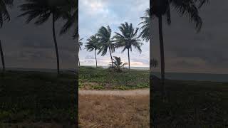 AMANHECER  Intermares  Cabedelo PB youtubeshorts praia paraiba beach nordeste shorts [upl. by Eelac]