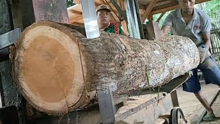 Most power full sawmill  Makes teak wood logs into amazing wide sheets [upl. by Sacttler]