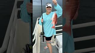 Ultimate Fishing in Biloxi Charter Fishing the Gulf biloxi [upl. by Arlena]