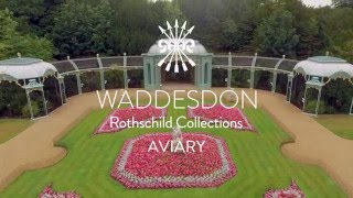 The Aviary at Waddesdon Manor [upl. by Norej741]