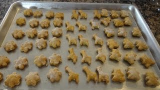 How to make PUMPKIN dog treats LowFat amp Healthy [upl. by Attenwad]