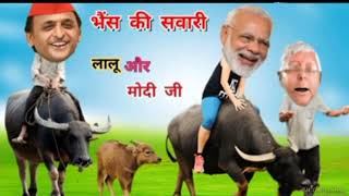 लालू जी की भैंस पर मोदी जी की सवारीmodicartoon modiyogichunavcomedymodidihaticomedy narendramodi [upl. by Andromache]