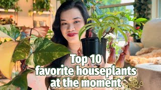 10 houseplants Im loving right now💚 [upl. by Airbmat962]