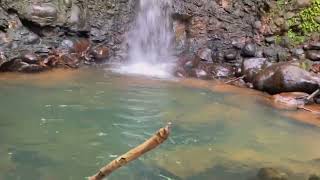 Let’s discover Cascade Rioux Waterfall La Flora Mauritius [upl. by Matilde]