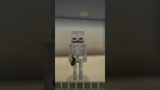 Minecraft Mob Armor 13 Skeleton [upl. by Refinnaj793]