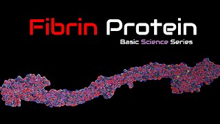 Fibrinogen  Fibrin 3D Structure  Function  Fibrinogen  Blood Proteins  Basic Science Series [upl. by Beichner782]