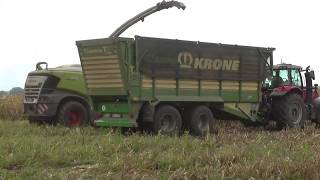 Mais Häckseln 2019  Shredlage  mit wieder nochmal Claas Jaguar 970 mit Kemper 375 Plus [upl. by Ylnevaeh]