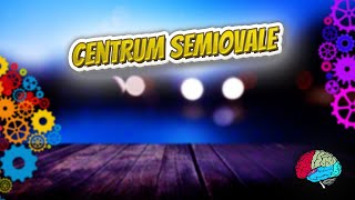 Centrum Semiovale  Know It ALL 🔊✅ [upl. by Rebma]