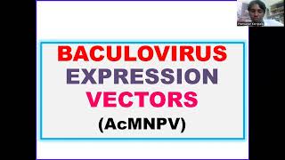 Baculovirus expression Vectors AcMNPV DrDNAPrimer [upl. by Hilliary]