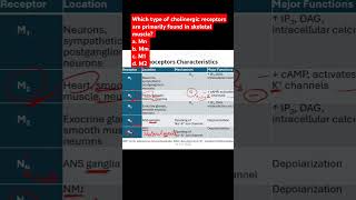 Which type of cholinergic receptors are primarily found in skeletal muscle [upl. by Atikaj]