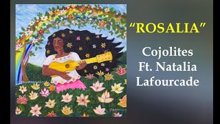 Los Cojolites Feat Natalia Lafourcade  Rosalia Lyrics Video [upl. by Ttelrats]