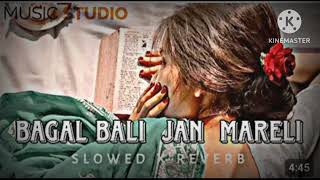 bagal wali jaan mareli bhojpuri song slowed reverb supar hit song viral [upl. by Clough455]