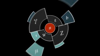 How Symmetry Shapes Nature’s Laws [upl. by Minica]