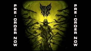 DEFEATED SANITY  Naraka New Track 2013 [upl. by Atteselrahc991]