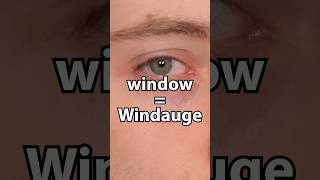 window  Windauge [upl. by Minnaminnie]