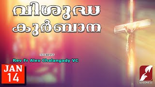 SUNDAY HOLY MASS LIVE  6 AM 14 JAN 2024Fr Alex Chalangady VCMALAYALAM QURBANATODAYGOODNESS TV [upl. by Yelnet777]