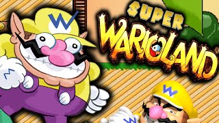 PROJECT SUPER WARIO LAND  AMAZING WARIO FANGAME by WwwWario [upl. by Rosner908]