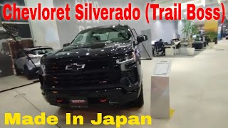 Chevloret Silverado Trail Boss 2024  Off Road  Z71  Review  Diesel  Custom  Interior [upl. by Otxis329]