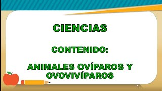 Animales ovíparos y ovovivíparos  Ciencias  Segundo grado [upl. by Eynobe505]