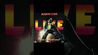 Whats Going On  Marvin Gaye 70svibes70ssoul [upl. by Grosz]