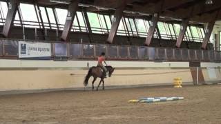 Galop 4 Varier lamplitude au trot [upl. by Pavyer299]